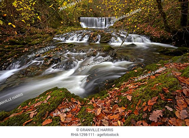 Autumn at Stock Ghyll beck, Ambleside, Lake District National Park, UNESCO World Heritage Site, Cumbria, England, United Kingdom, Europe