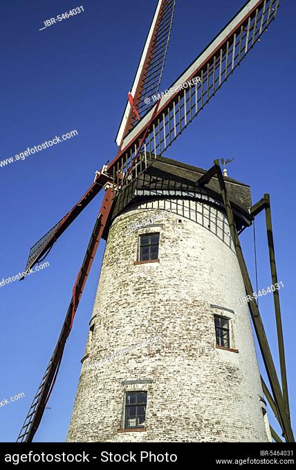 The Schellemolen, Schelle Mill, traditional windmill along the Damse Vaart canal near Damme, West Flanders, Belgium, Europe