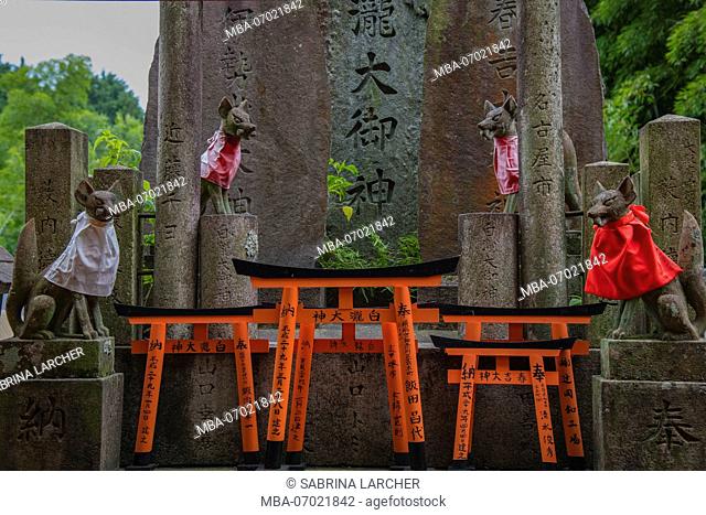 Asia, Japan, Nihon, Nippon, Kyoto, Senbon Torii Fushimi Inari Taisha Shrine