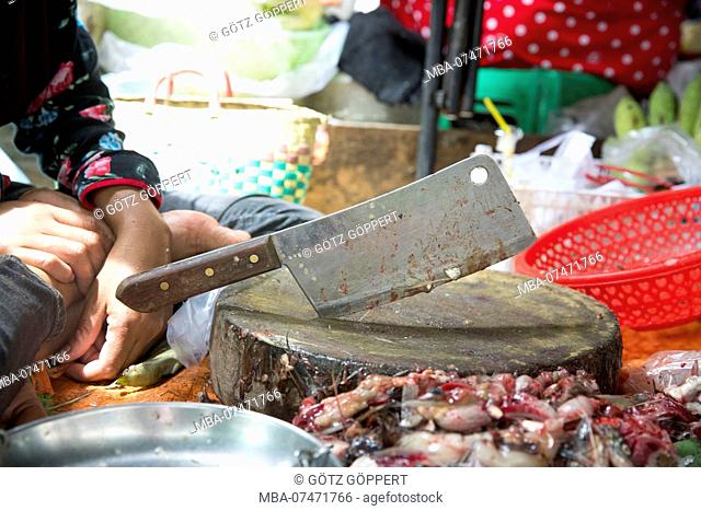Cambodia, Phnom Penh, Kandal Market, cutting table of a fishmonger, market of the poor, there is everything, food, tools and spare parts as well as cosmetics...