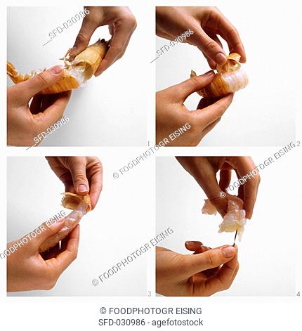 Shelling scampi