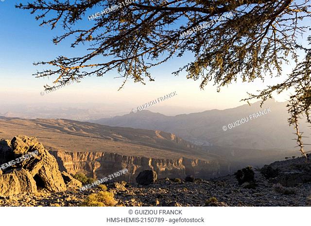 Sultanate of Oman, gouvernorate of Ad-Dakhiliyah, Djebel Shams in the Al Hajar Mountains range, the Grand Canyon of Arabia or Wadi an Nakhur Gorge
