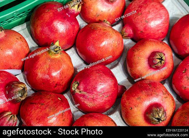pomegranates, Punica granatum,