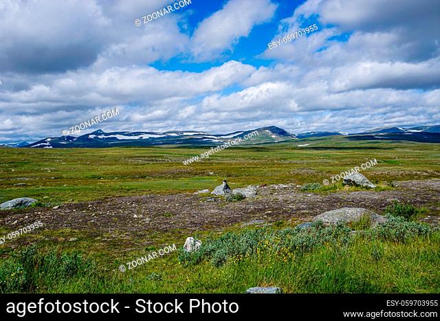 A view of the wild tundra landscape ofthe Stekenkokk Plateau in Swedish Lappland