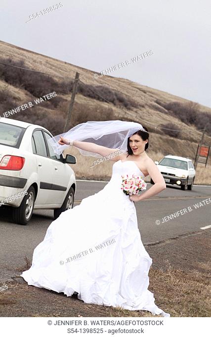 A young woman in a bridal gown, hitchhiking on a country road in Rosalia, Washington, USA