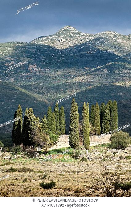 Landscape with Cypress trees near Proastio and Kardamyli, in the Outer Mani, Southern Greece