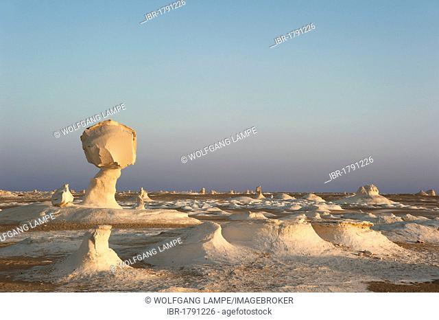 Limestone formations in the evening light, White Desert National Park, Libyan Desert, Sahara, Egypt, North Africa