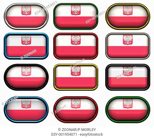 12 buttons of the Flag of Poland