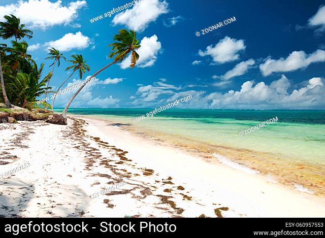 Wild caribbean beach in Dominican Republic