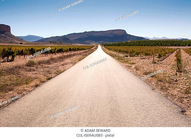 Diminishing perspective of empty road through vineyard and mountain range, Jumilla region, Spain