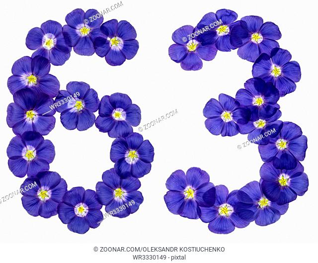 Arabic numeral 63, sixty three, from blue flowers of flax, isolated on white background