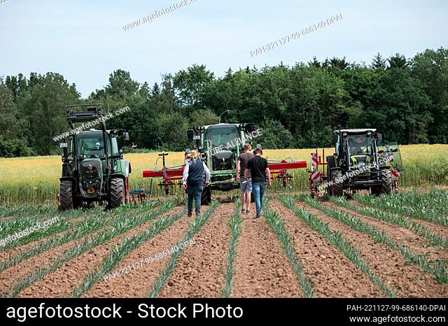 PRODUCTION - 21 June 2022, Bavaria, Bayreuth: Farmers take to their tractors to drive the agricultural hoeing machines over the cornfield