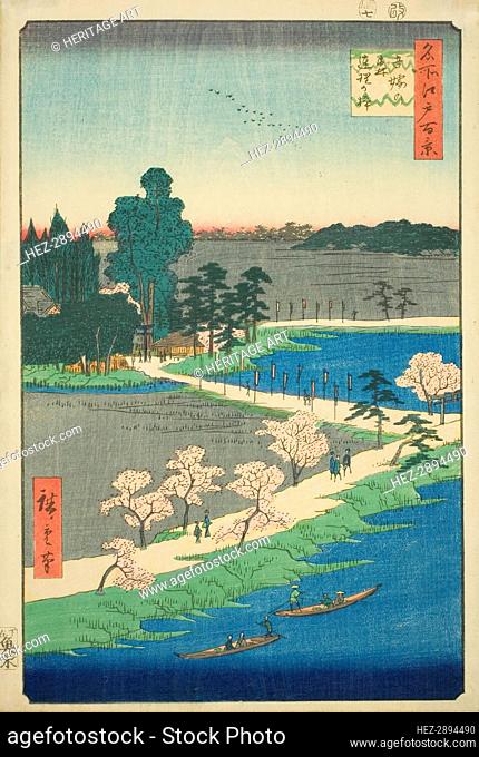The Entwined Camphor Trees at Azuma Shrine (Azuma no mori Renri no azusa), from the series.., 1856. Creator: Ando Hiroshige