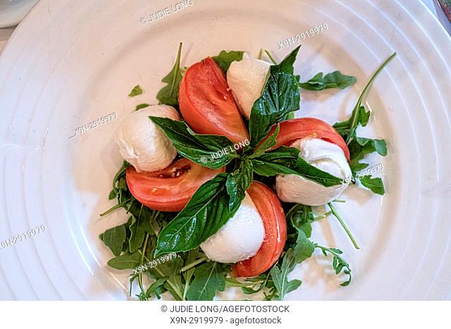 New York City, Manhattan. Mozzarella and Tomato Salad Garnished with Basil. Served on a White China Plate