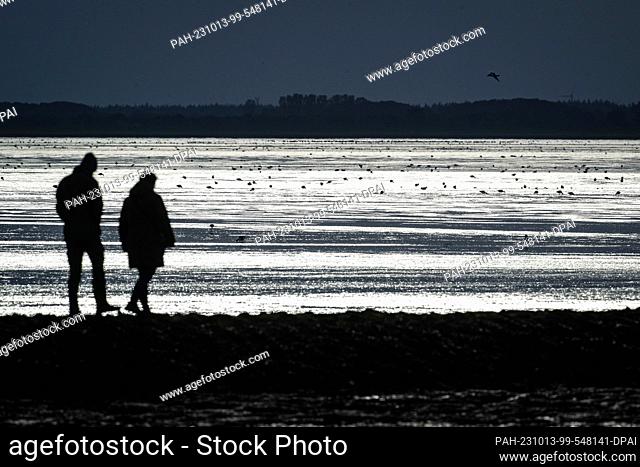 PRODUCTION - 12 October 2023, Lower Saxony, Jade: Walkers watch the birds on the mudflats. Millions of migratory birds can be observed resting in the Wadden Sea...