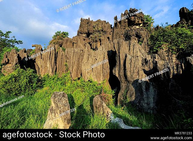 Limestone rock eroded and dissolved by water in karst region, Rammang-Rammang, Maros, South Sulawesi, Indonesia, Southeast Asia, Asia