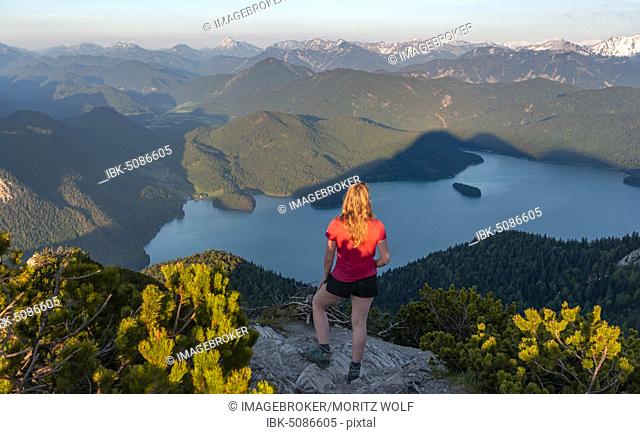Young woman standing at the summit, view from Herzogstand to Lake Walchen and Alps, Upper Bavaria, Bavaria, Germany, Europe