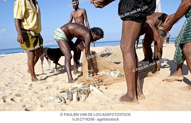 Hikkaduwa, Sri Lanka, Fishermen split their catch in the early morning