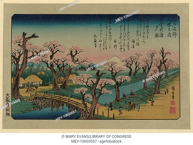 Evening glow at Koganei Bridge. Print shows a bridge across a canal with flowering cherry trees along the banks, a small cluster of low buildings