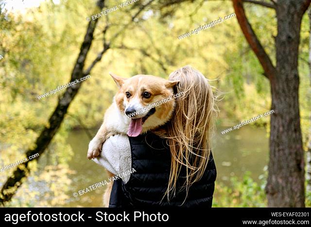 Woman carrying dog sticking out tongue in forest
