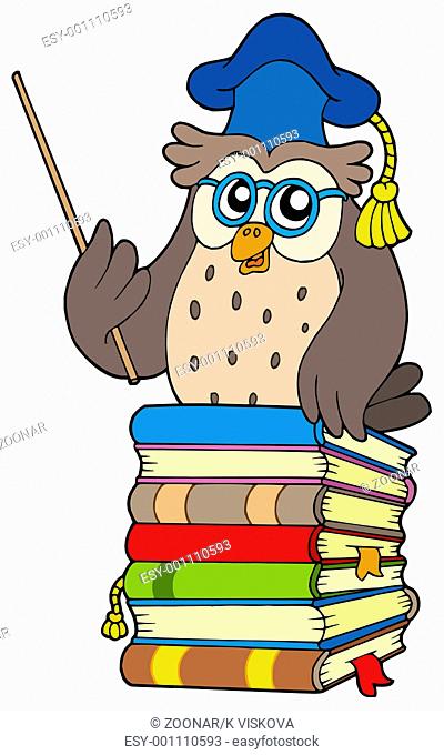 Wise owl teacher on books - isolated illustration