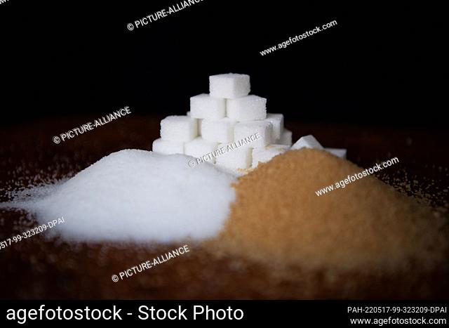 11 May 2022, Bremen: ILLUSTRATION - Lump sugar, white sugar and brown sugar are on a dark background. Photo: Melissa Erichsen/dpa