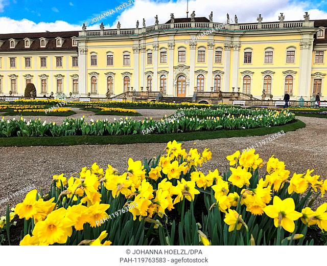 Schloss Ludwigsburg - Das Residenzschloss in Ludwigsburg wurde zwischen 1704 und 1733 unter der Herrschaft von Herzog Eberhard Ludwig von Württemberg im Stil...