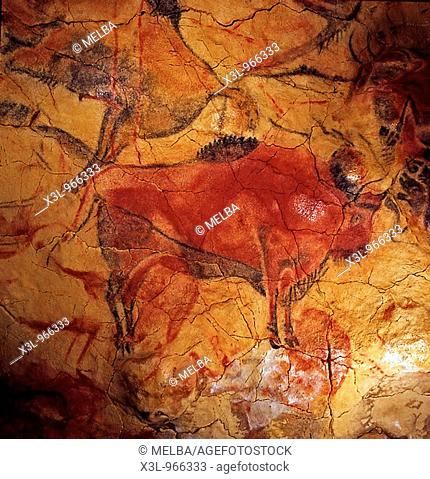 Bison  Painting of the Altamira cave  Santander  Cantabria Spain