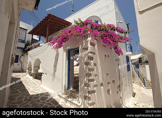 Traditional whitewashed houses with colorful doors and windows at Parikia-the port village, Paros Island, Cyclades Islands, Greek Islands, Greece, Europe