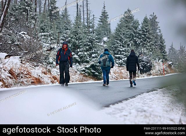 11 November 2023, Saxony-Anhalt, Schierke: Hikers walk along snow-covered spruce trees on the Brocken. On Saturday night