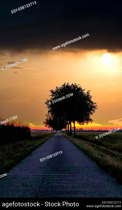 A path wit grass and trees under a very dramatic sunset sky. High quality photo