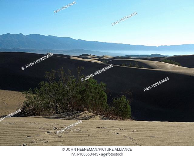 Mesquite Flat Sand Dunes, Death Valley National Park, California, The sand dunes of Death Valley National Park are excellent places for nature study and...