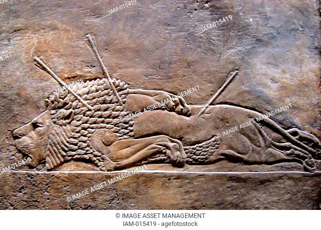 Nineveh ancient city of Assyria, near modern-day Mosul, in the Ninawa Governorate of Iraq. Relief from the palace showing a lion hunted to death