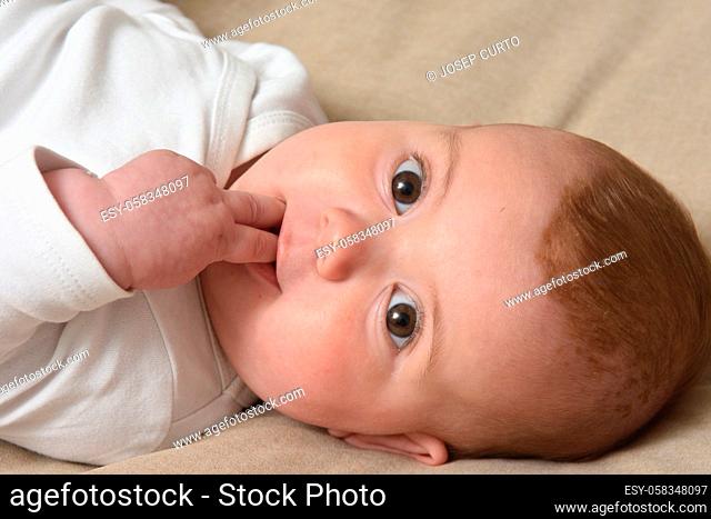 detail of a baby with his fingers in his mouth looking at the camera