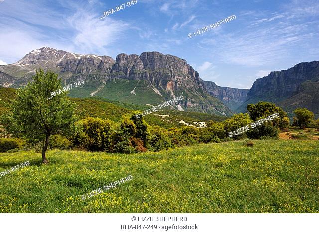 Wild flower meadow with the Astraka Towers and Vikos Gorge in the distance, Epirus, Greece, Europe