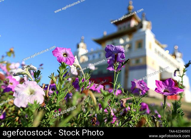 RUSSIA, ELISTA - SEPTEMBER 15, 2023: Flowers grow before the Burkhan Bakshin Altan Sume (Golden Abode of the Buddha Sakyamuni)