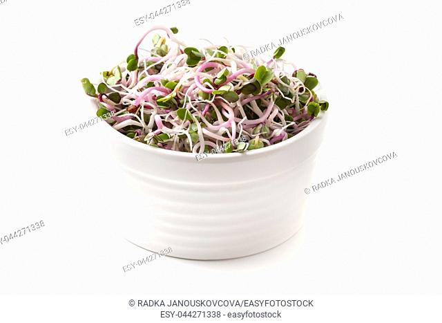 Fresh pink radish sprouts in a bowl on a white background