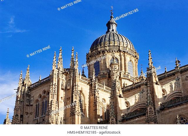 Spain, Castile-Leon, Salamanca, listed as World Heritage by UNESCO, the Catedral Nueva New Cathedral, western side