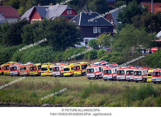 24 August 2019, Saxony, Bad Schandau: Ambulances are standing on the shore during the ""Schöna 2019"" state disaster control exercise in Bad Schandau, Saxony
