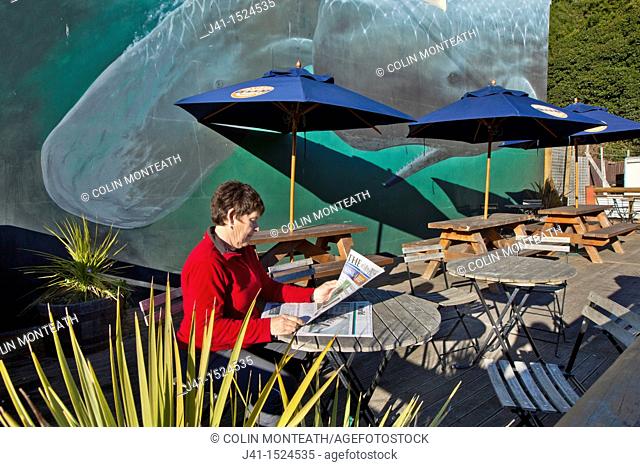 Woman reading morning newspaper, Sperm whales mural on cafe wall, Kaikoura, North Canterbury, South Island, New Zealand