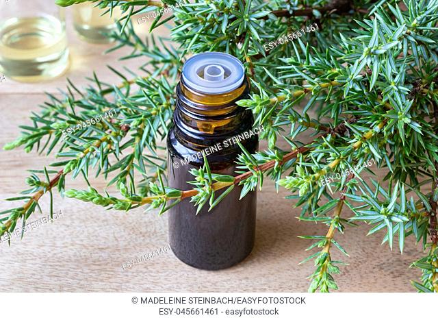 A bottle of essential oil with fresh juniper branches