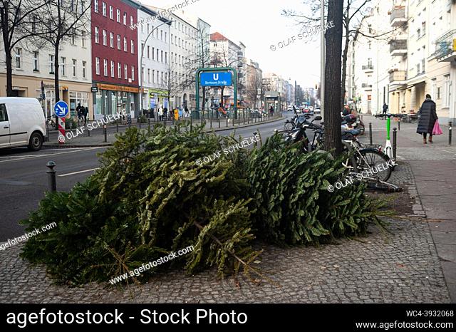Berlin, Germany, Europe - Discarded and disused Christmas trees without decoration are seen lying at the roadside in a residential neighbourhood at U-Bahn...