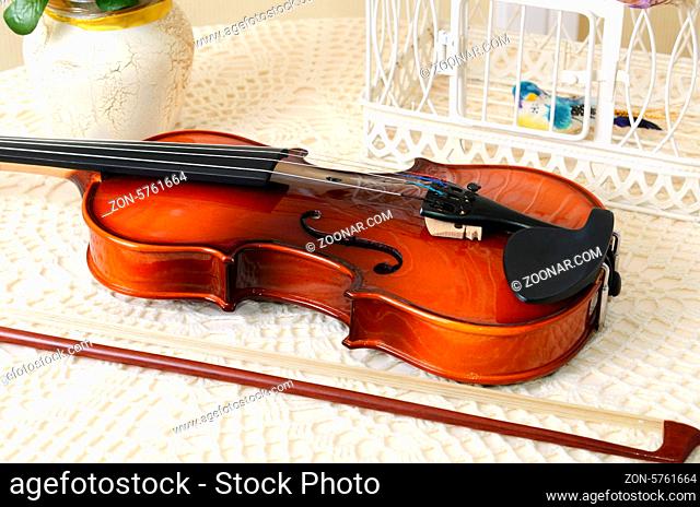The violin on the table close up