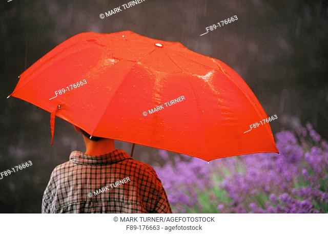 Bob under red umbrella in rain