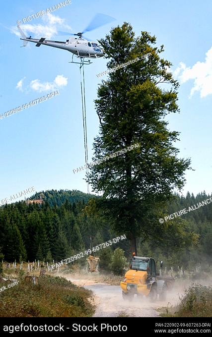 02 September 2022, Thuringia, Gehlberg: A container on a helicopter is filled with earth-moist lime marl in the Finsterberg forest district