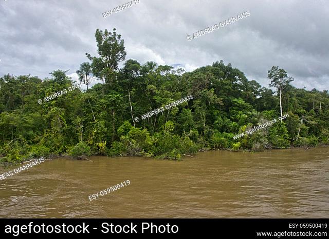 Amazon river view, Brazil, South America