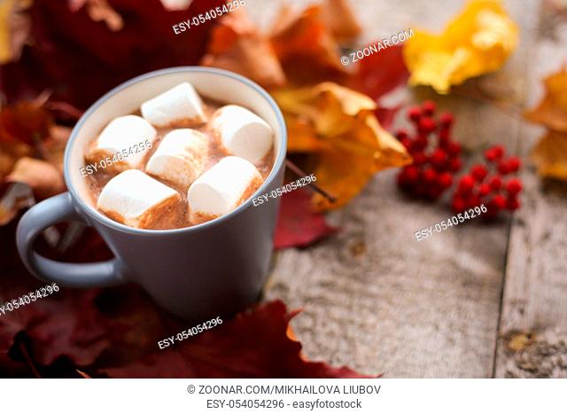 Autumn dried maple leaves and mug of cocoa with marshmellows on wooden table