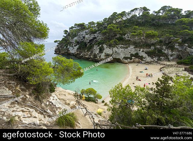 Cala Macarelleta, picturesque with a white sand beach and crystal blue waters for a swim, surrounded by pine trees that reach down to the sea