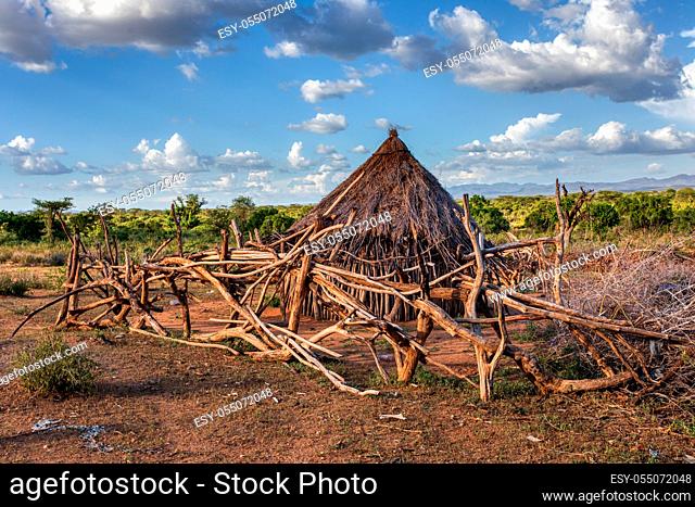 cattle pen in Hamar Village, The Hamar people are a primitive tribe in South Ethiopia, Africa