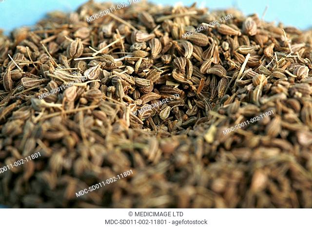 Anise fruit contains anethole, an aromatic compound that accounts for its distinctive liquorice flavor. Anise leaves can be used to treat digestive problems